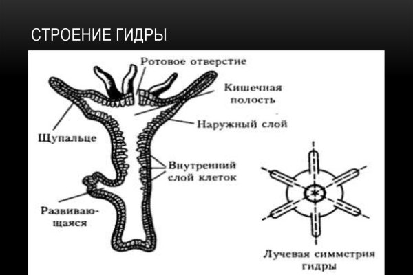 Кракен kr2web in сайт официальный
