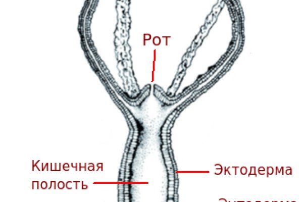 Кракен впн