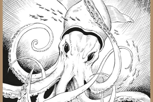 Kraken ссылка для тору
